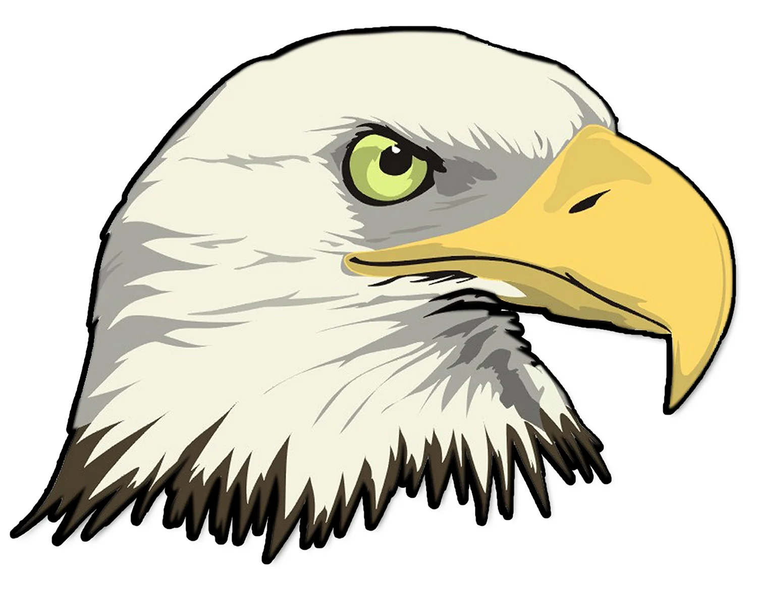 Орел,белоголовый Орлан рисунок