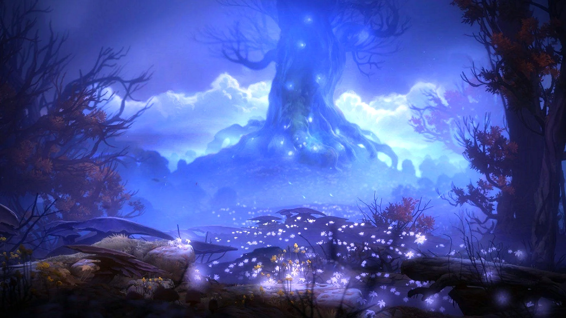 Ori and the Blind Forest туманный лес