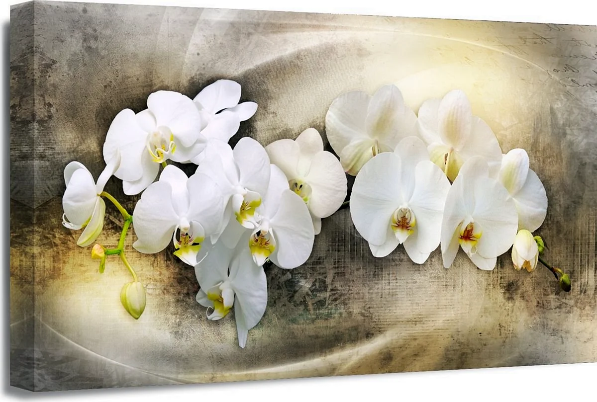 Орхидеи живопись