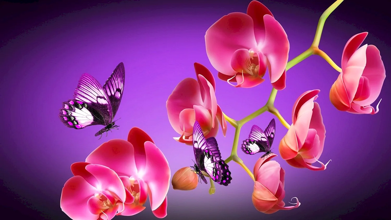Орхидея Баттерфляй