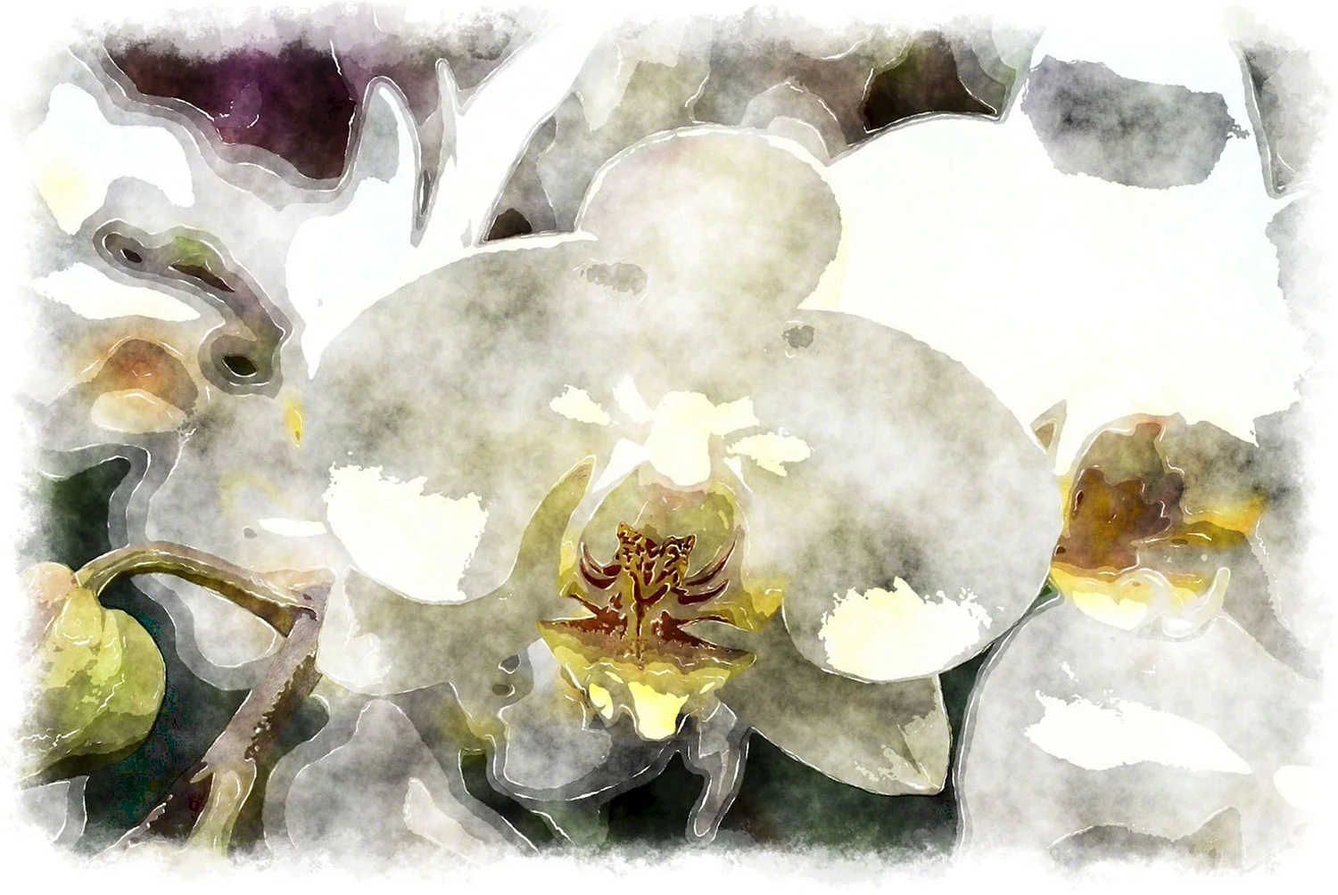 Орхидея белая акварель