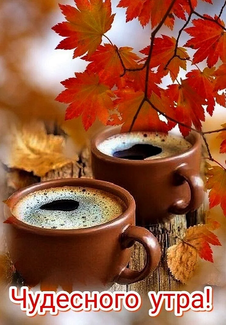 Осень кофе на завтрак варила