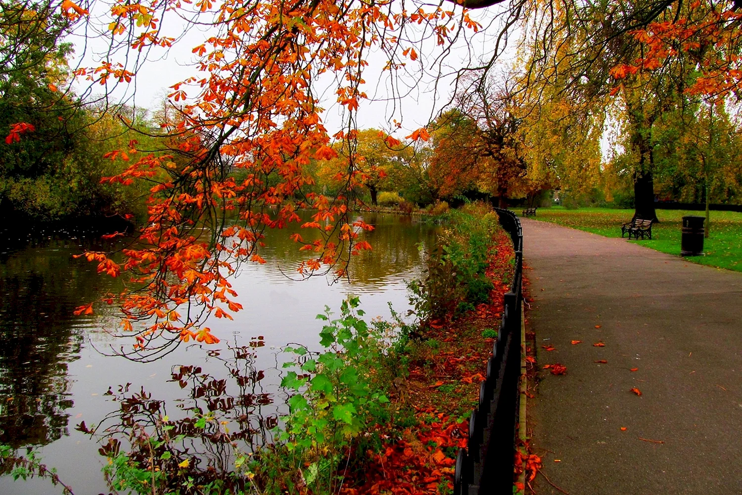 Осень Марьино парк река
