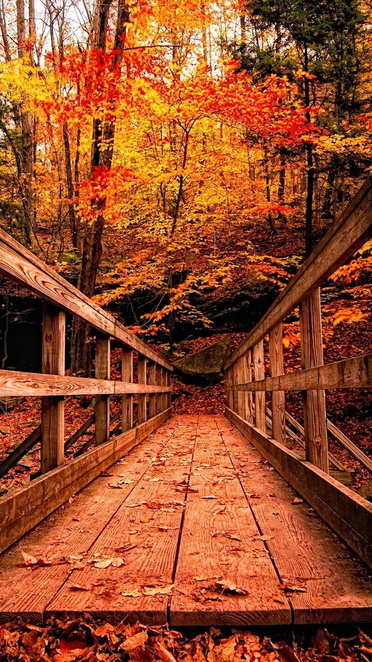 Осень парк мост