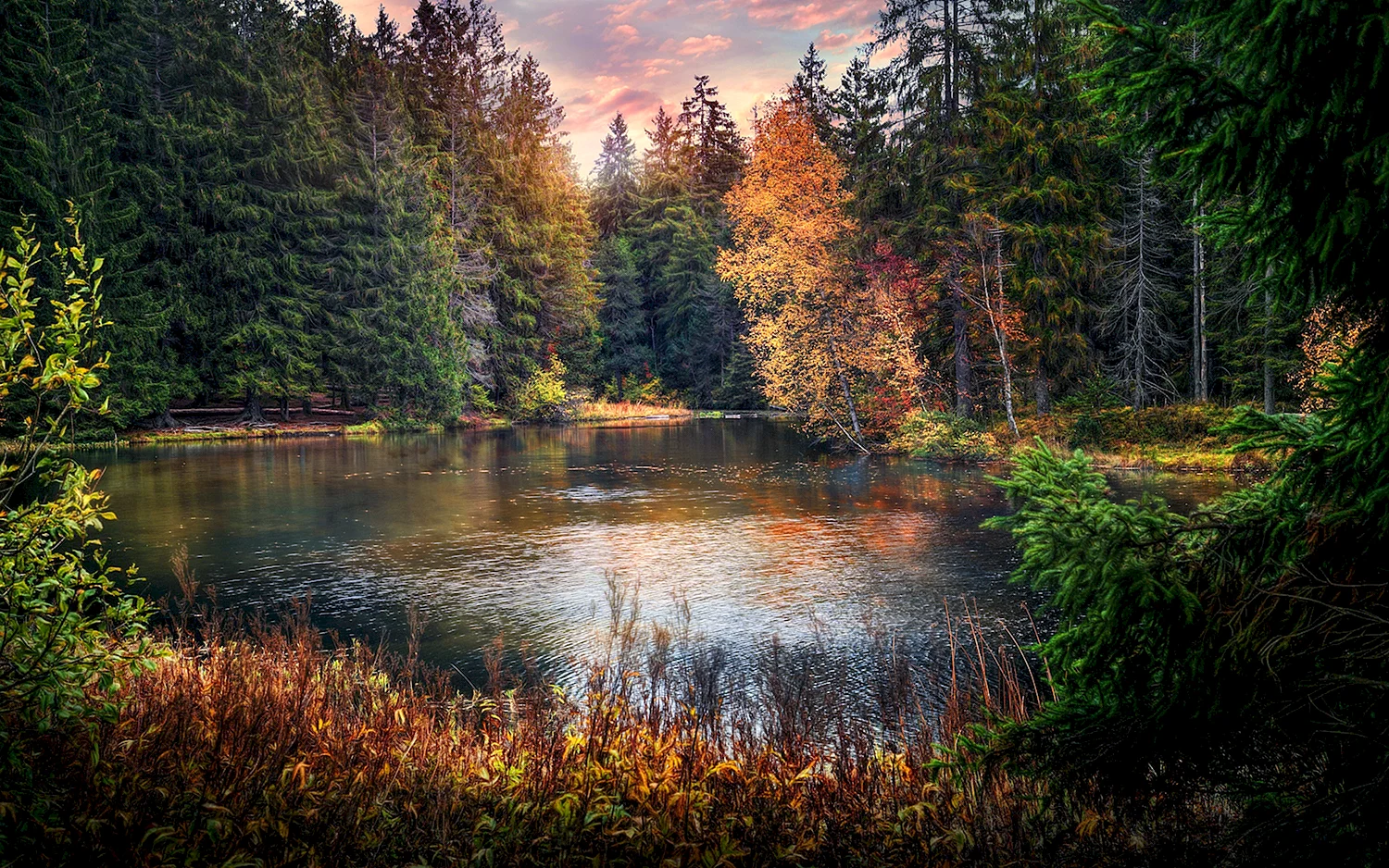 Осень природа река озеро лес