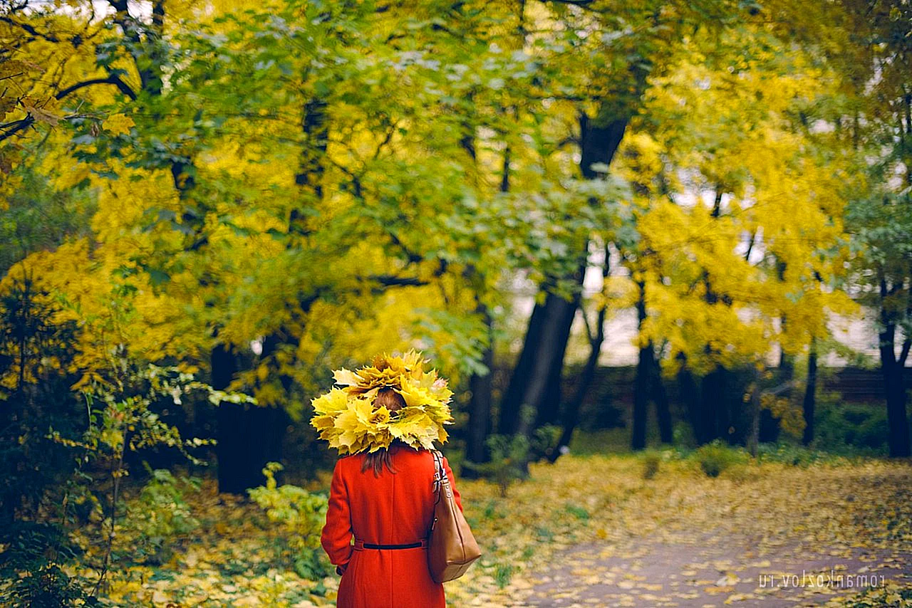 Осень женщина со спины