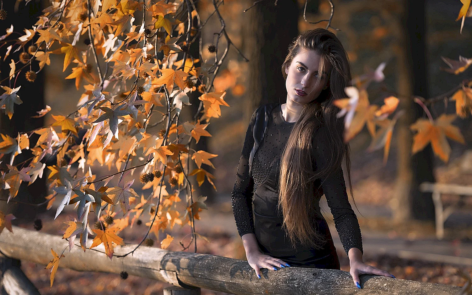 Осенняя фотосессия девушки