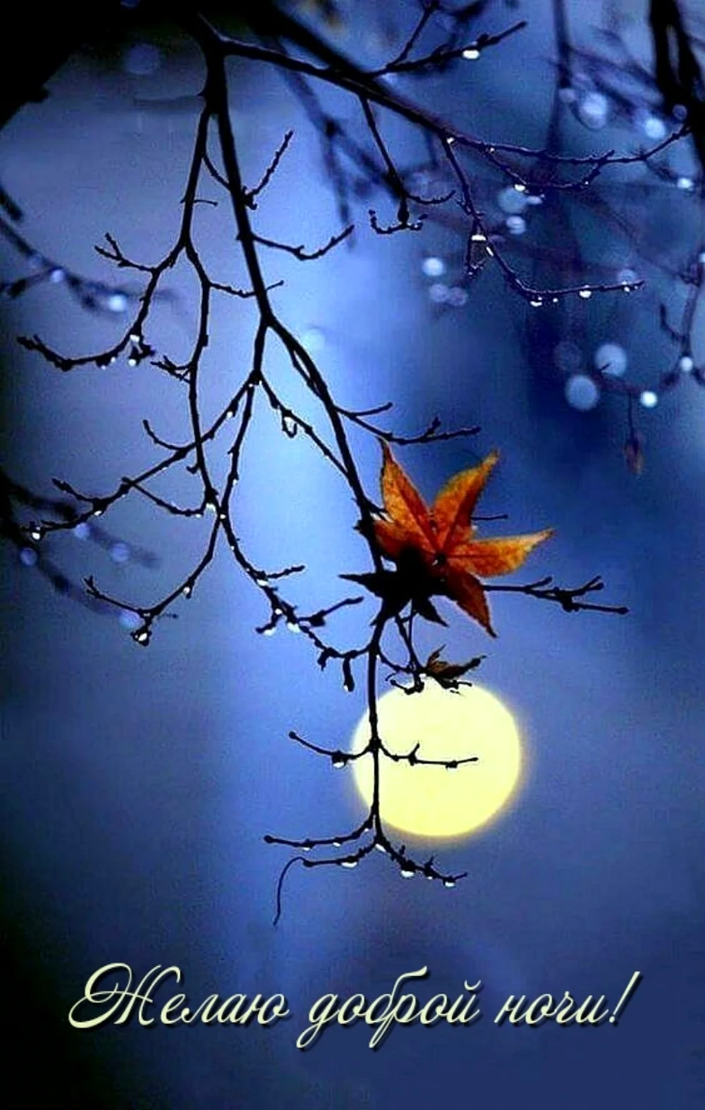 Осенняя Луна