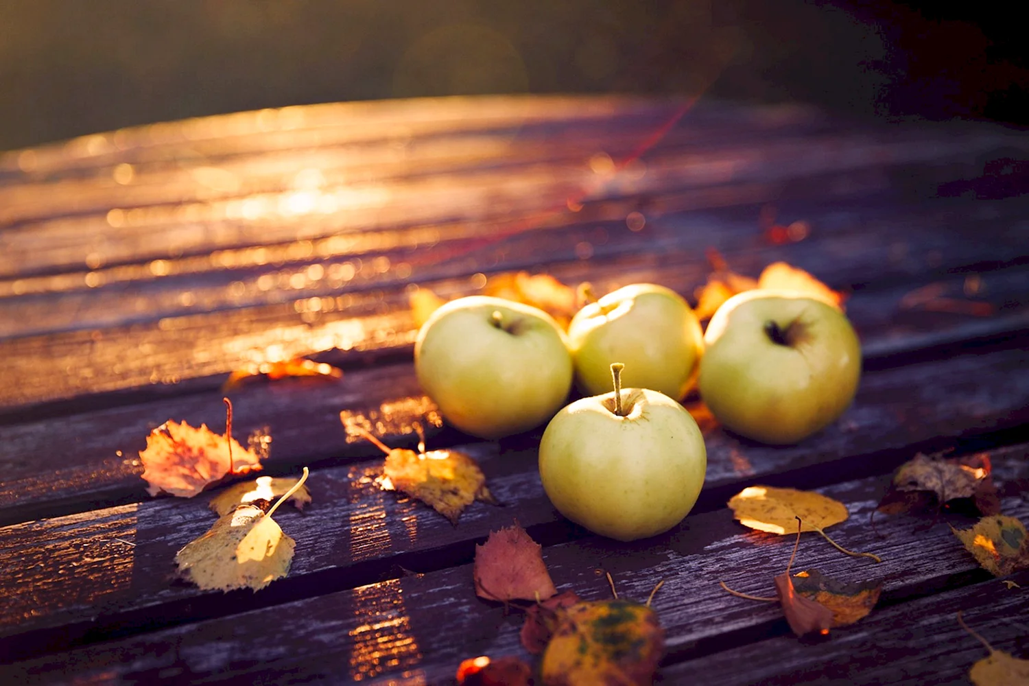 Осенние яблоки