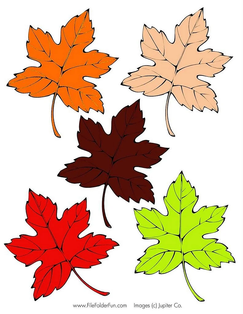 Осенние листья для вырезания