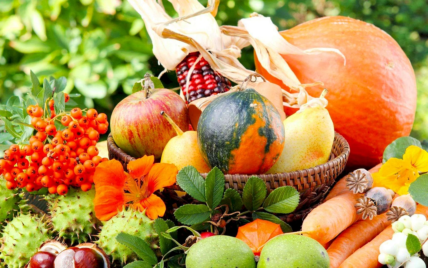 Осенние плоды