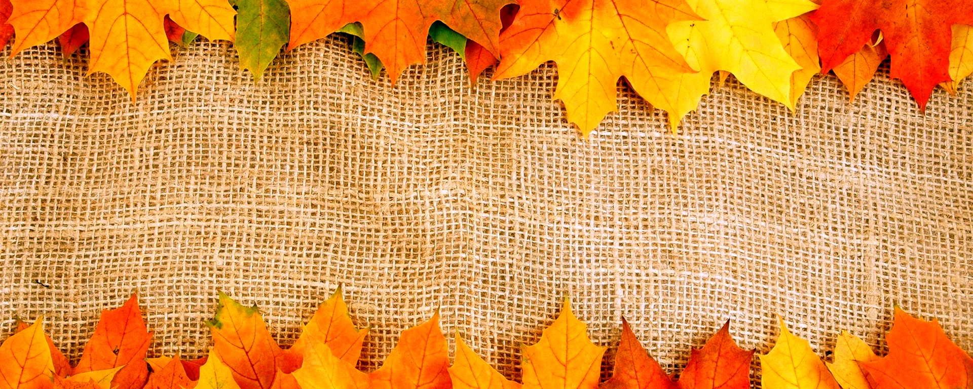 Осенний фон для баннера