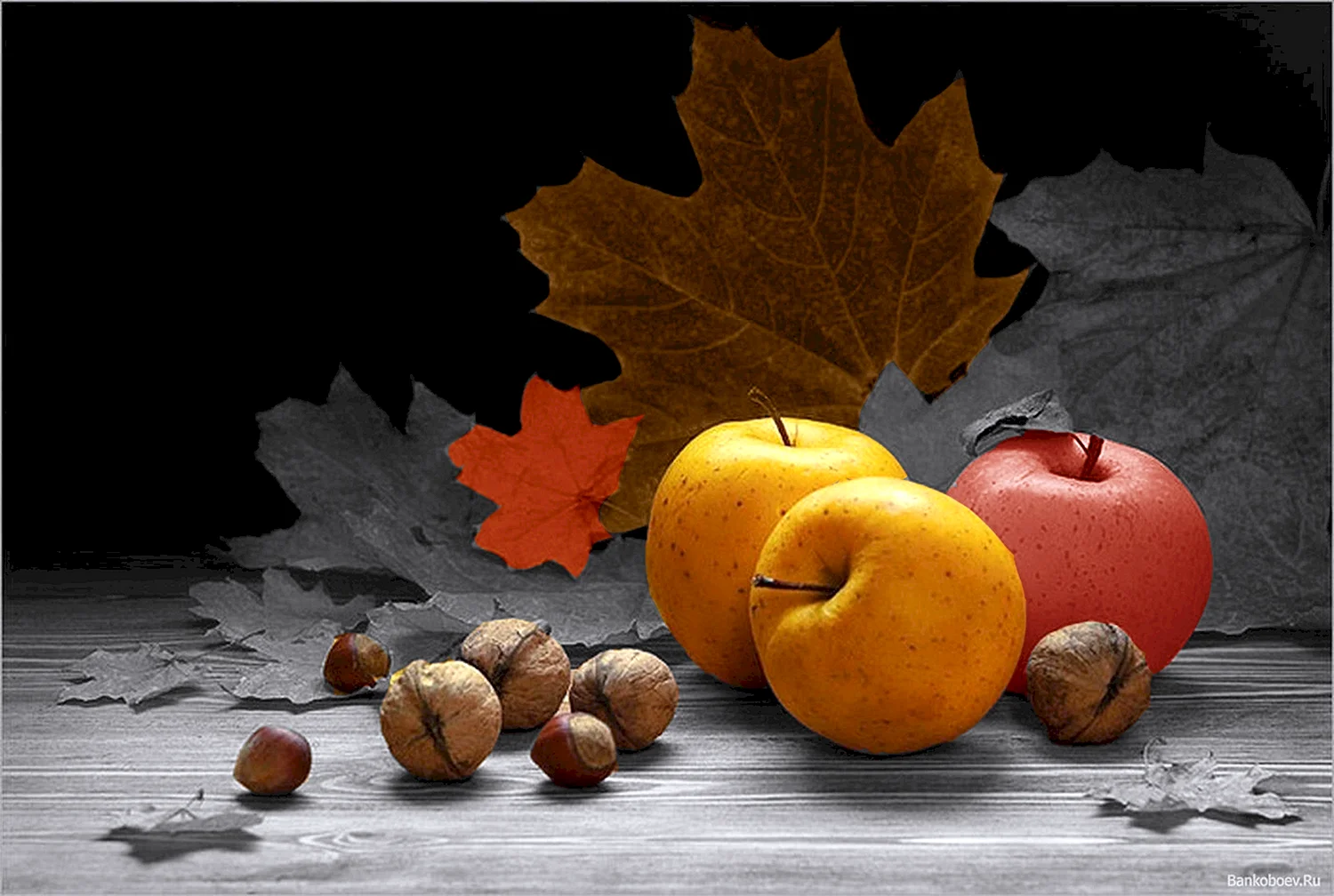 Осенний натюрморт с яблоками