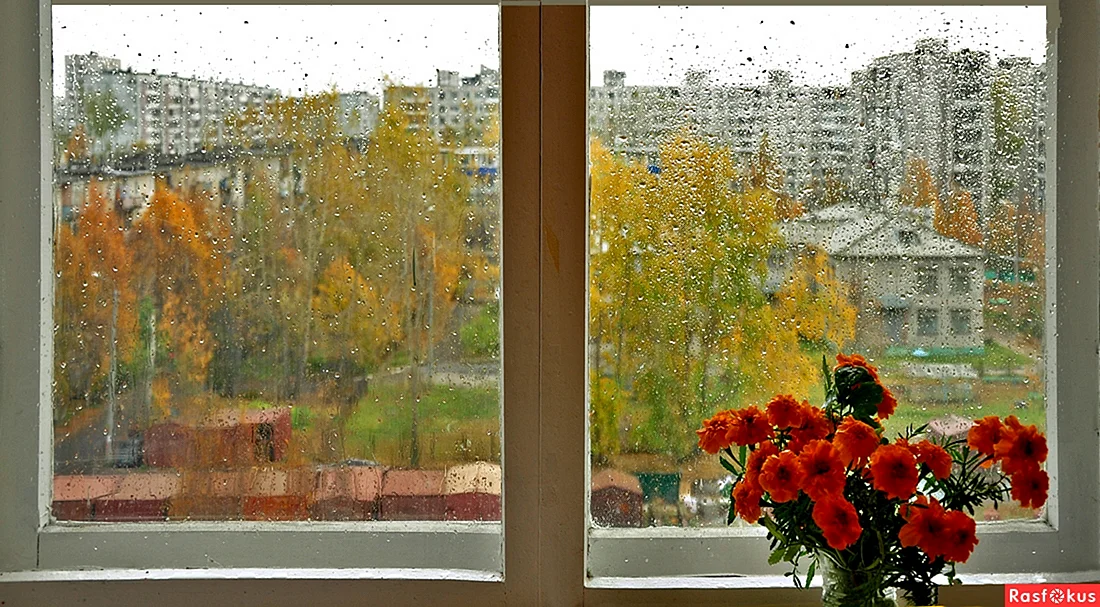 Осенний пейзаж за окном