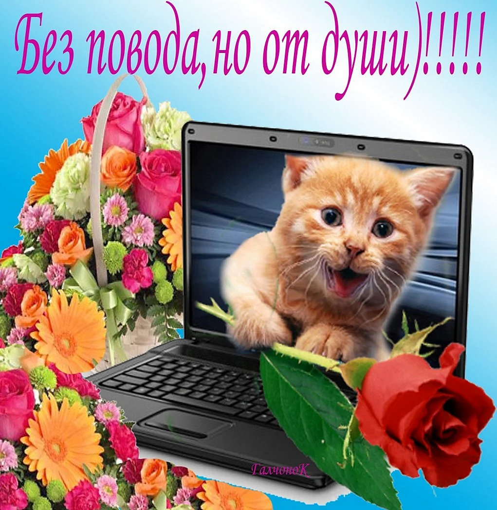 Открытка