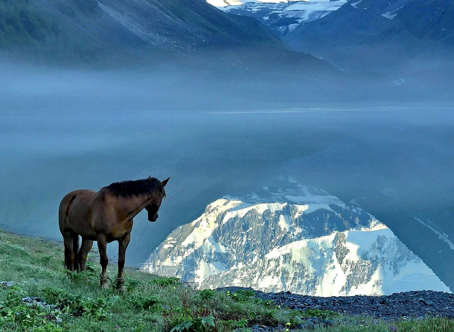 Отражение горы Белуха в озере Аккем, Алтай,