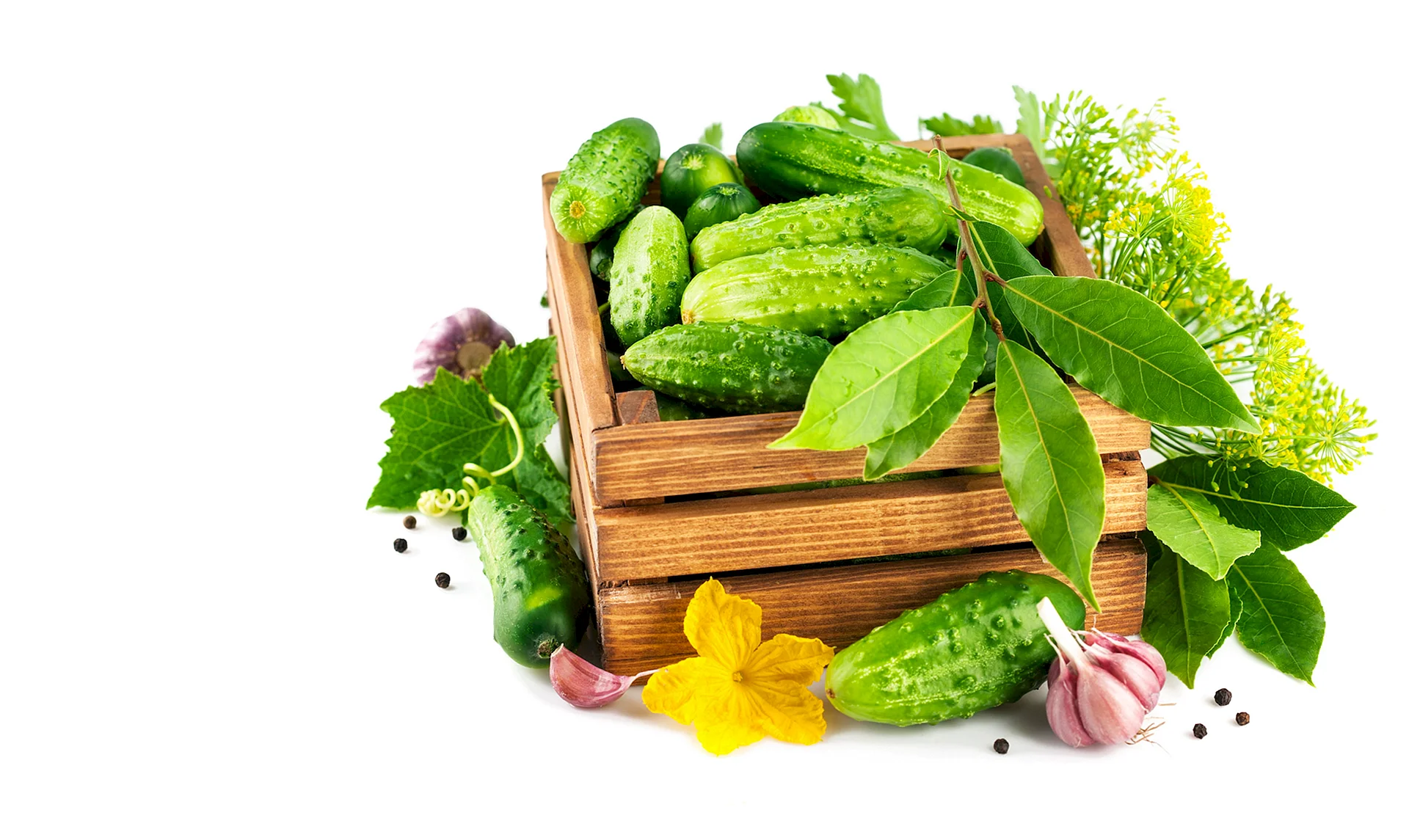 Овощи и зелень на белом фоне