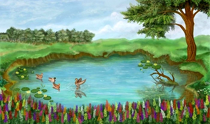 Озеро рисунок
