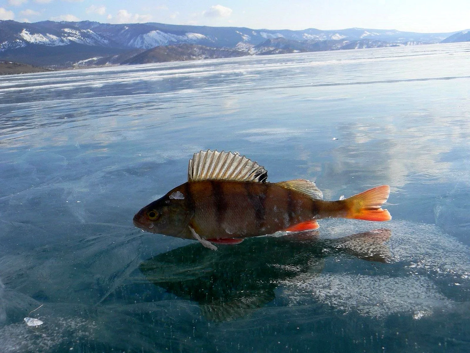 Озеро Рыбное Байкал