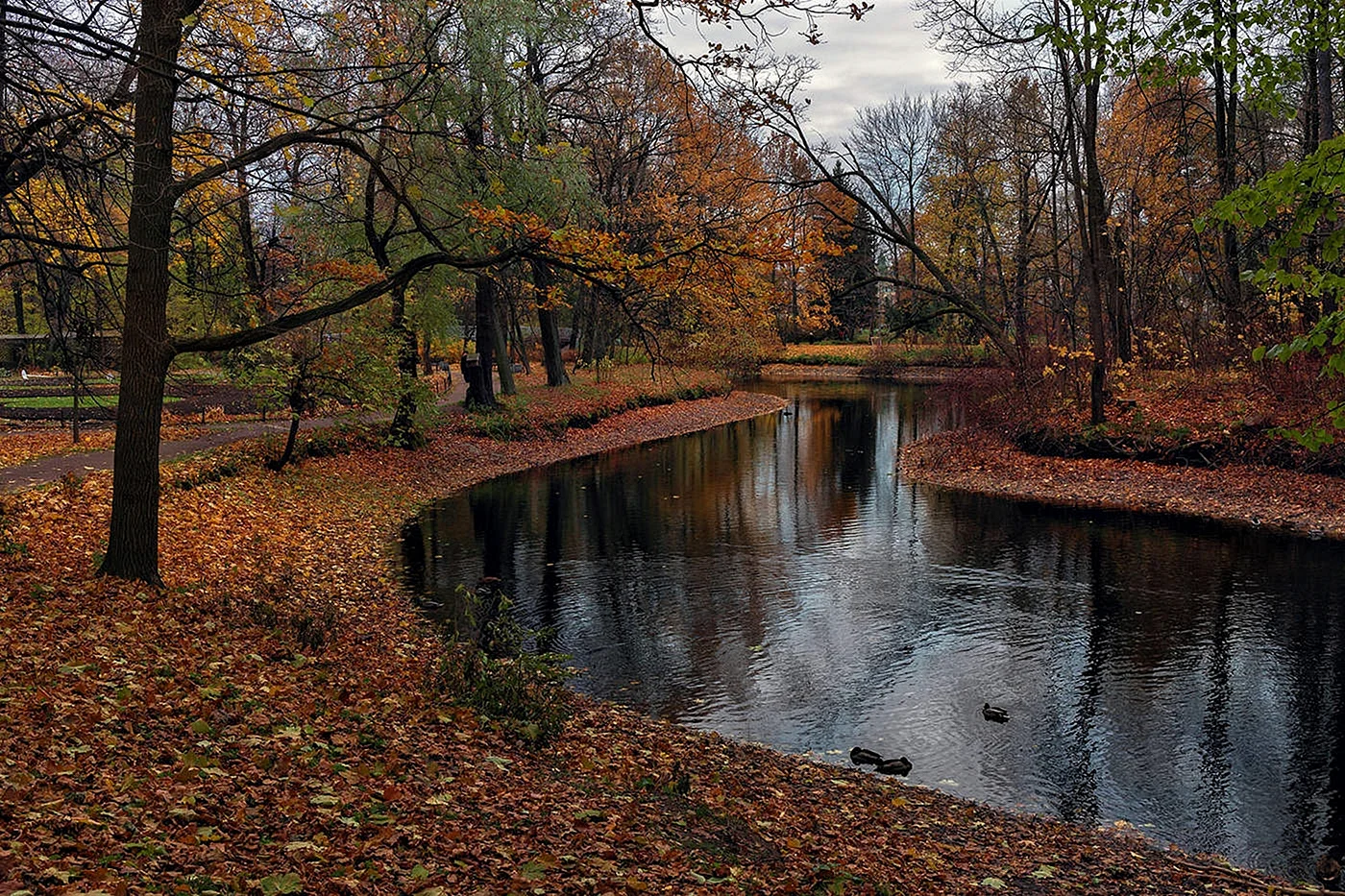 Парк Якутова поздняя осень
