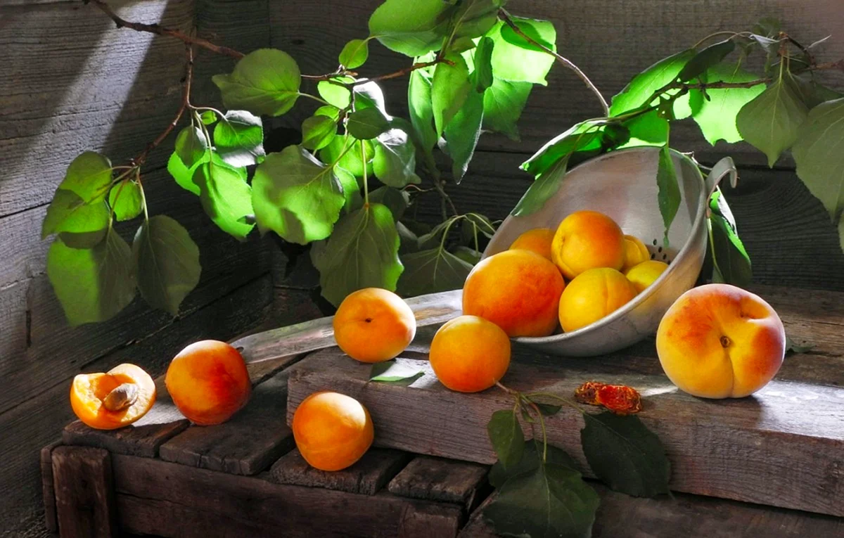 Паррасий персики