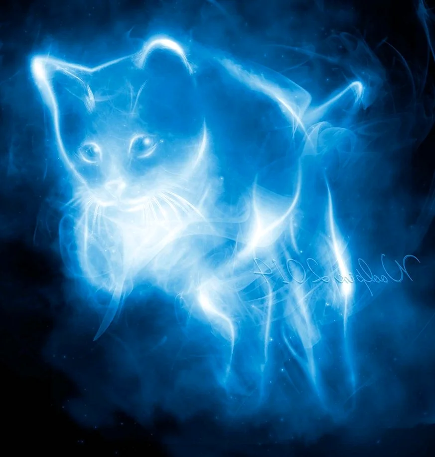 Патронус кошка Гарри Поттер