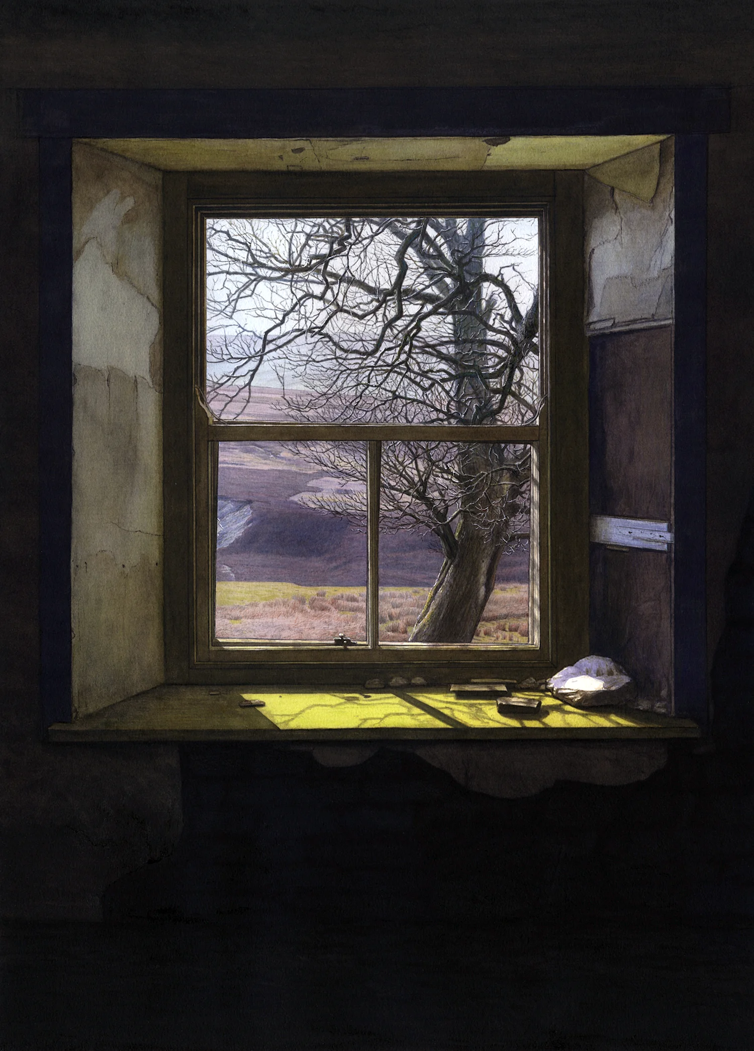 Paul Stangroom - 'the Green windowsill'