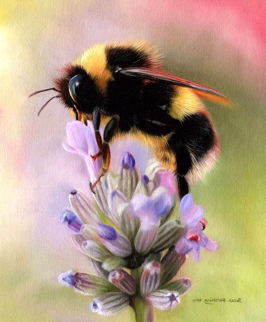 Пчела Bumblebee
