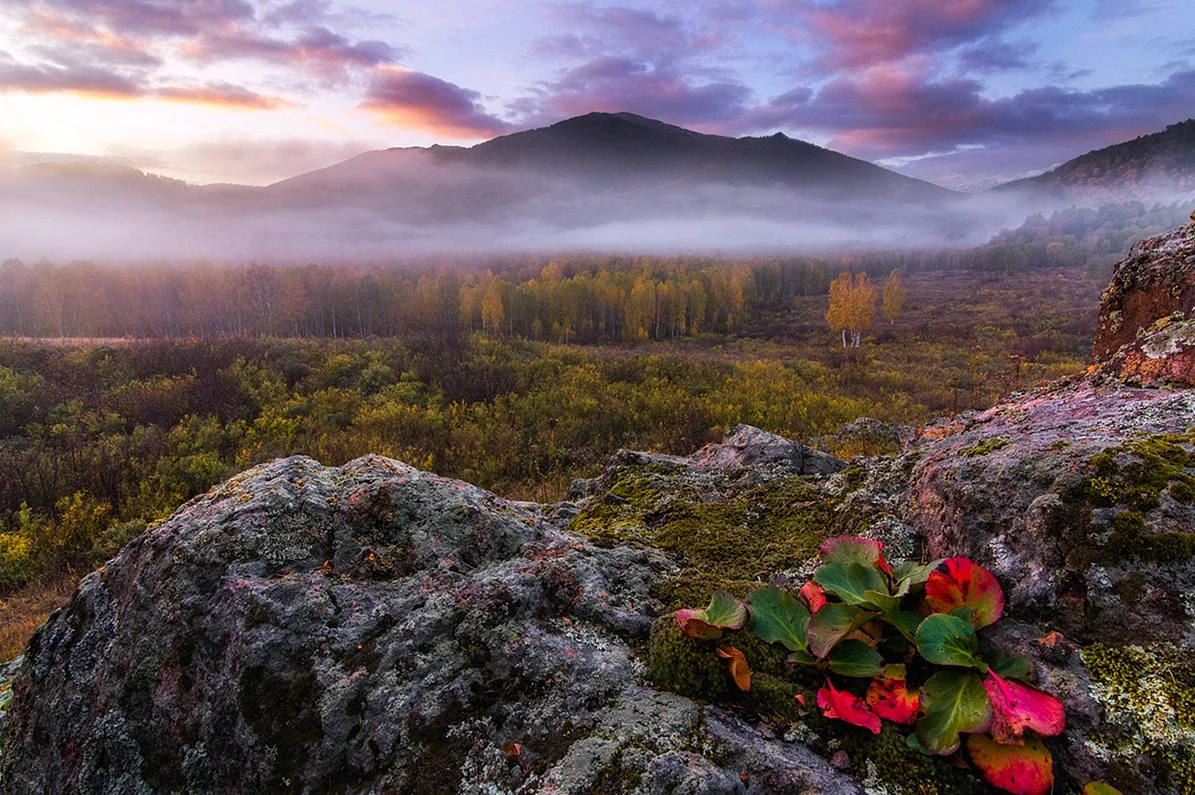 Пейзаж Алтайского края горный Алтай