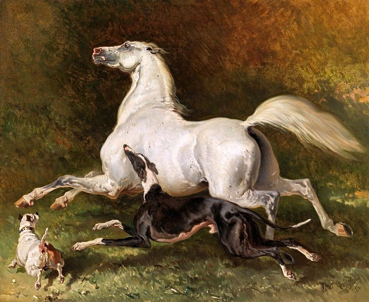 Пьер Альфред Дидье лошадь