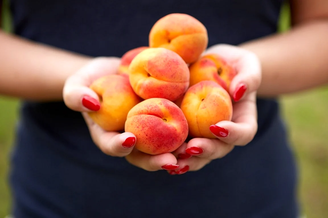 Персик в руке