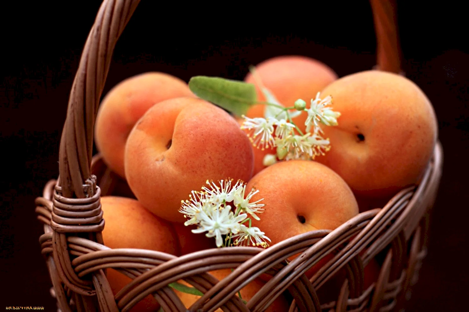 Персики в корзинке