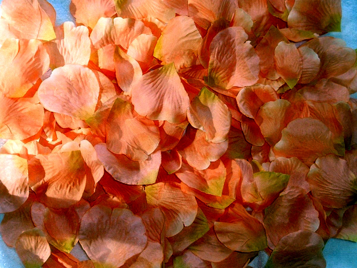 Персиковые цветы
