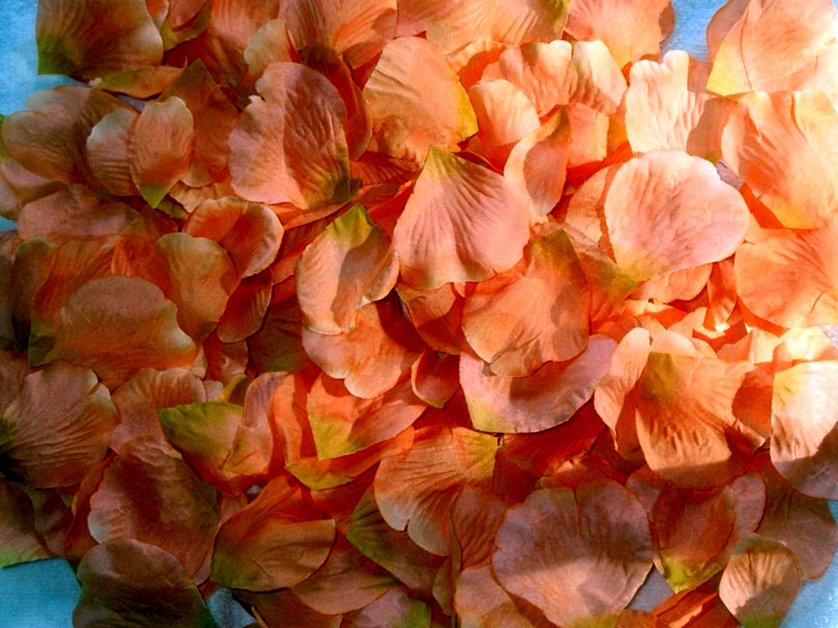 Персиковые цветы