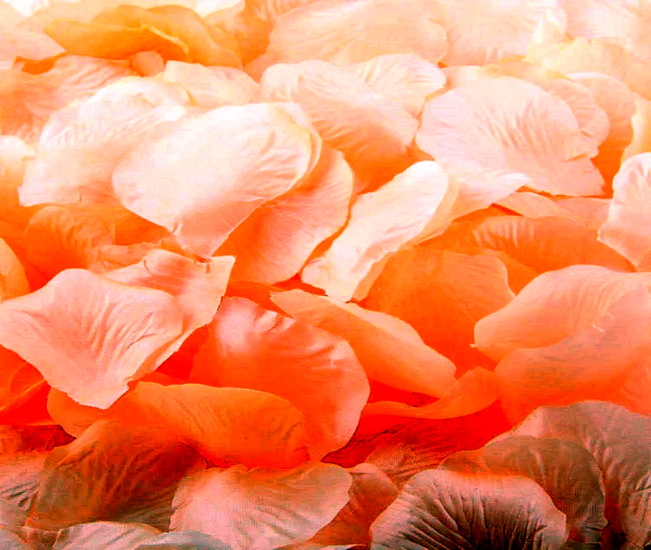 Персиковый цвет