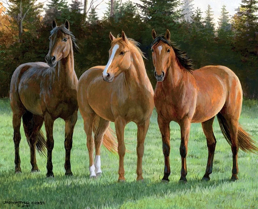 Персис Клейтон Вейерс лошади
