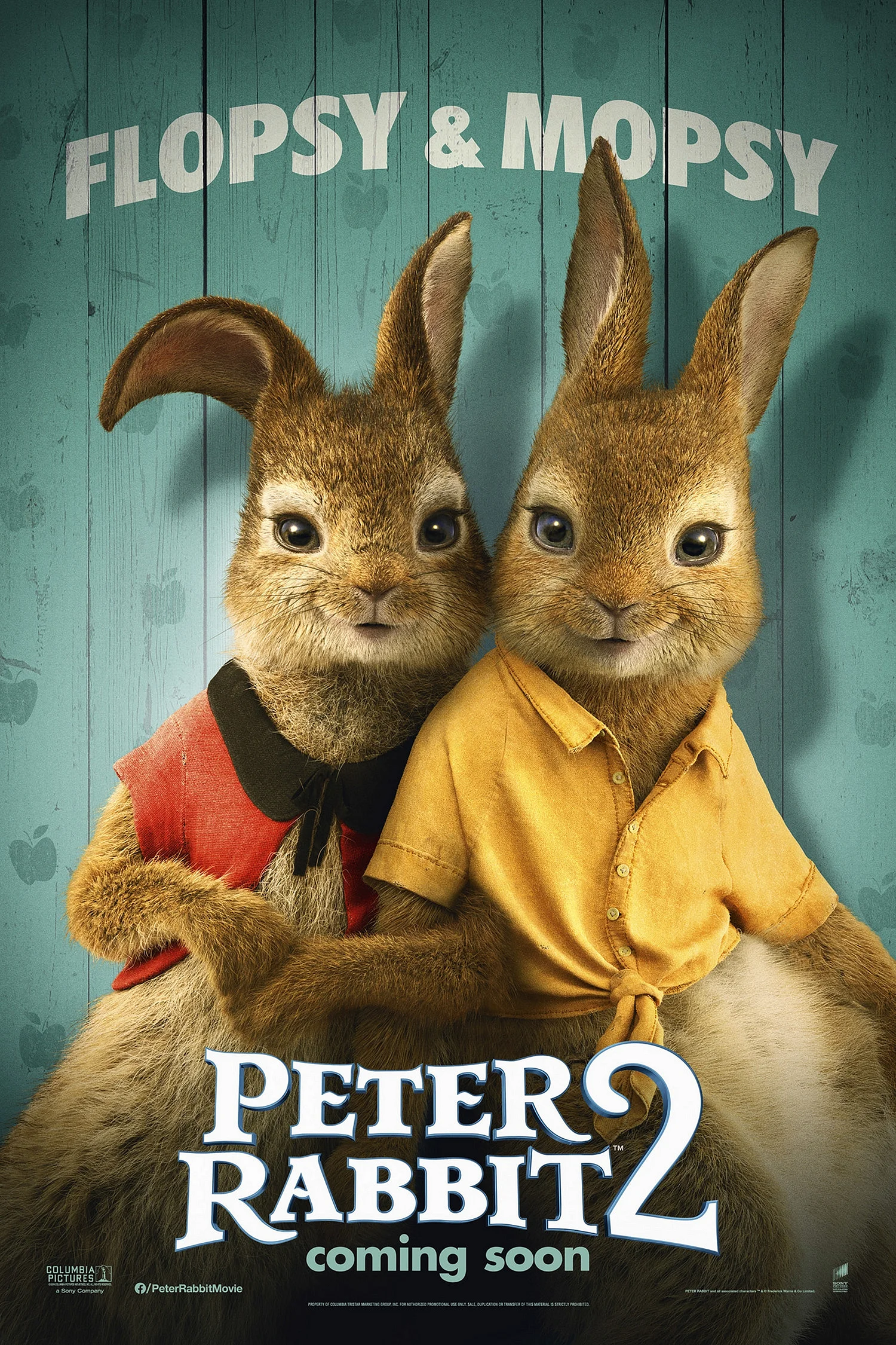 Peter Rabbit 2 2021