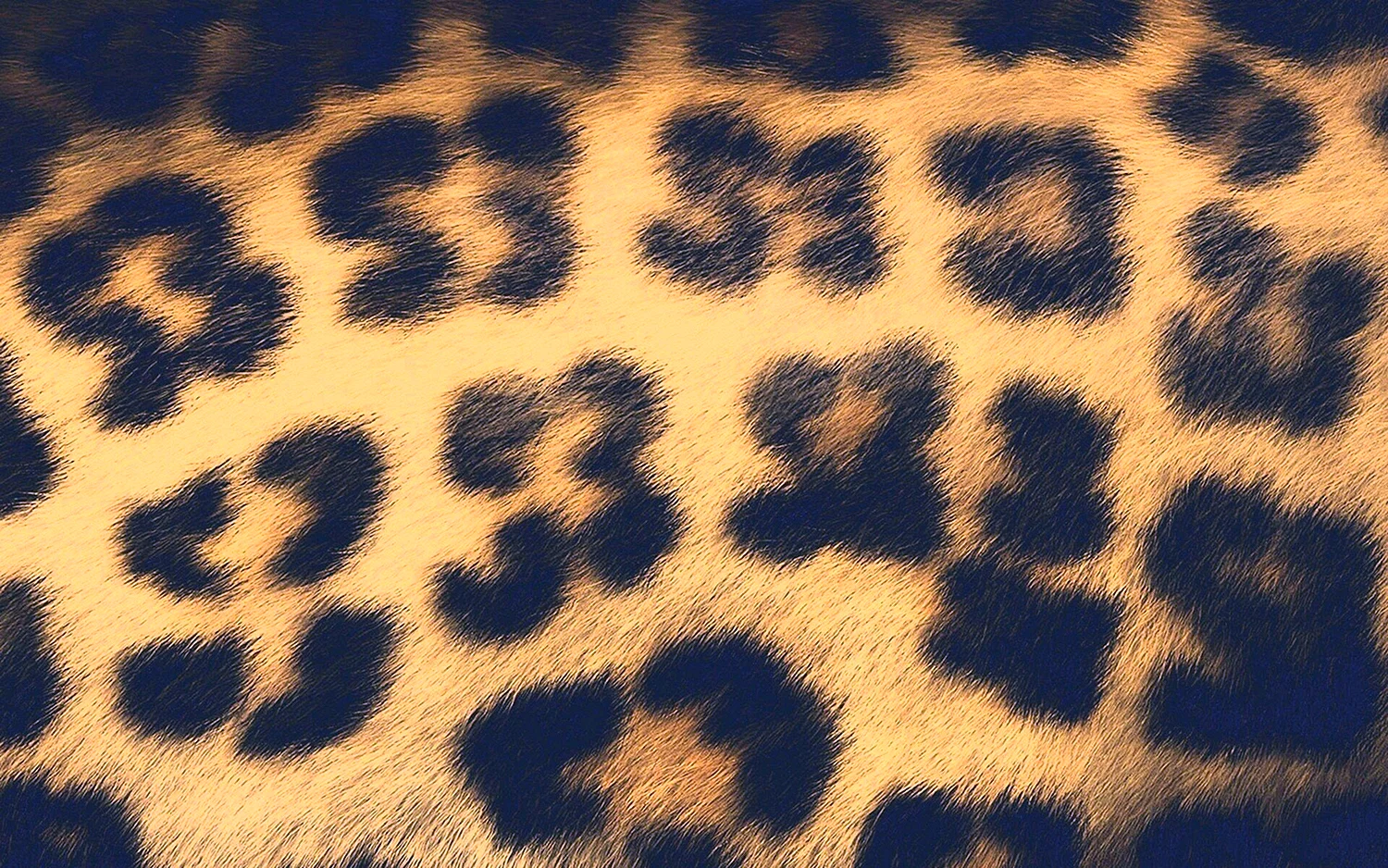 Пятна леопарда