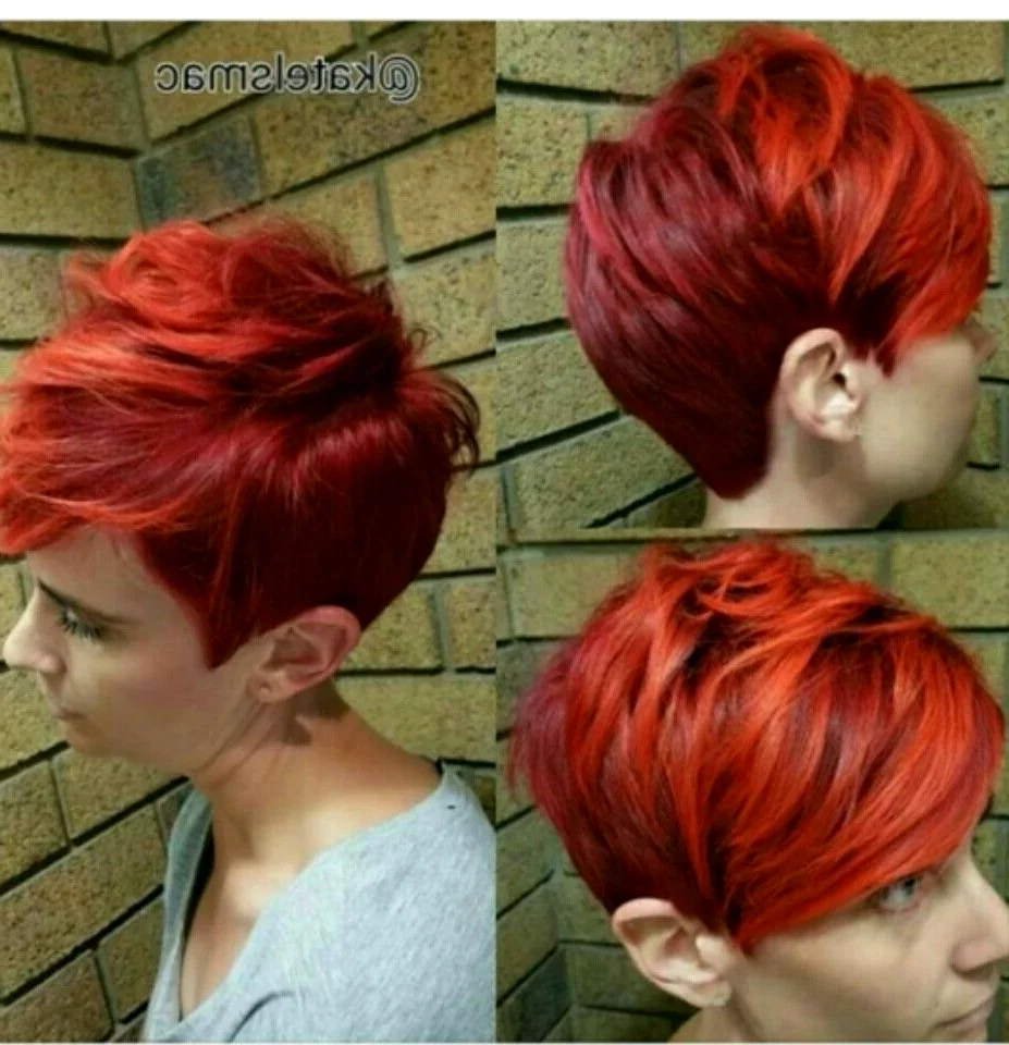 Пикси Боб рыжие волосы