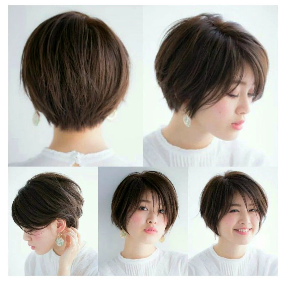 Pixie Bob стрижка Корея