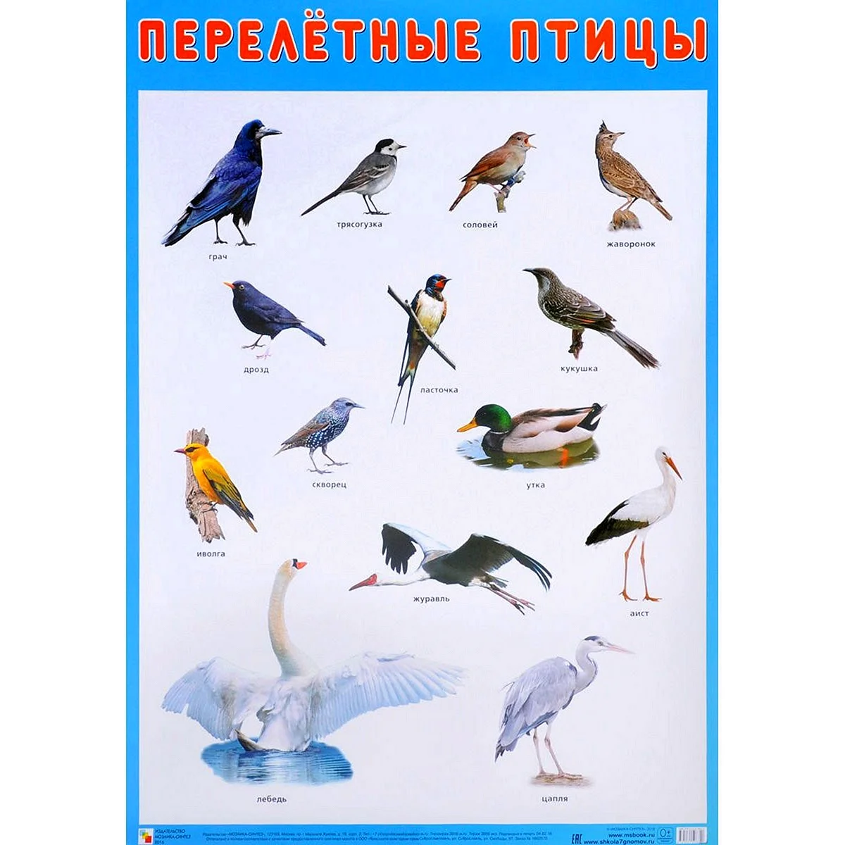 Плакат мозаика-Синтез перелетные птицы