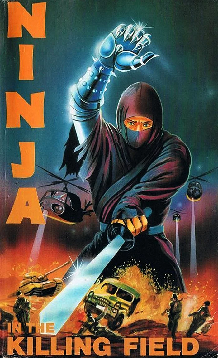 Плакат Ninja