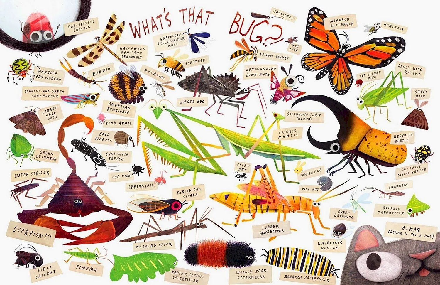 Плакат с изображением насекомых