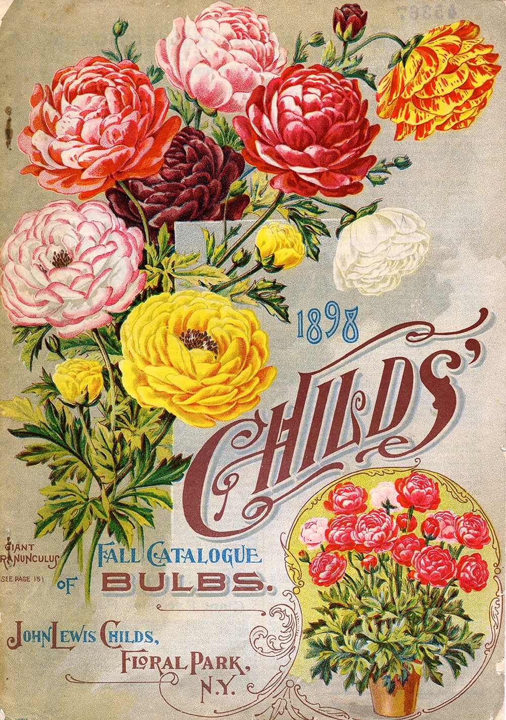 Плакат с цветами