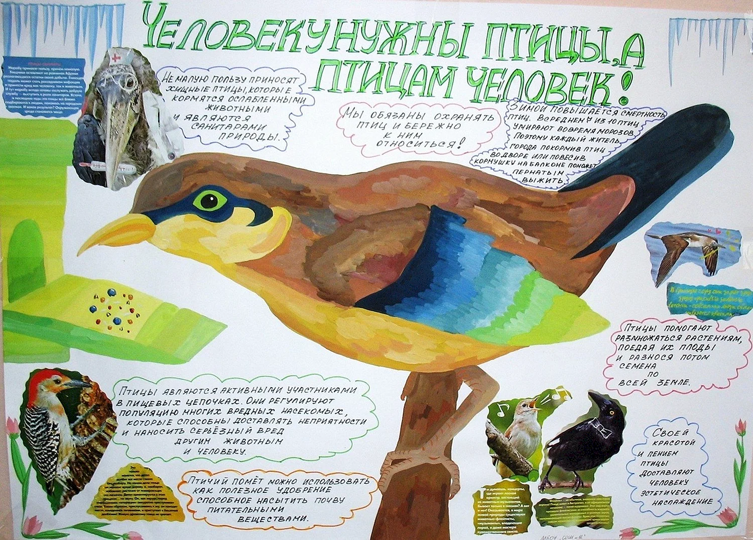 Плакат в защиту птиц