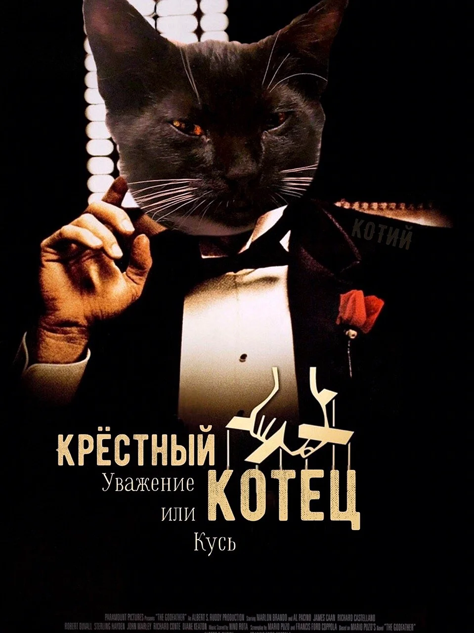 Плакаты фильмов с котами