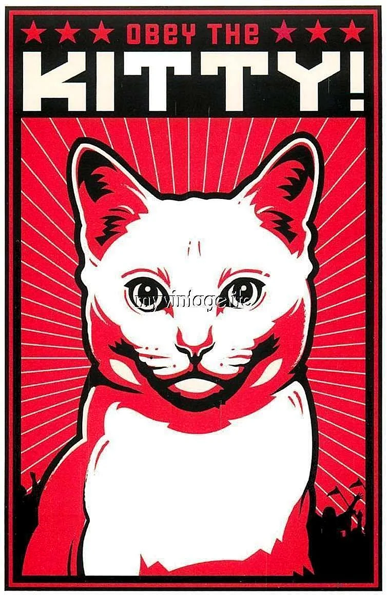 Плакаты с кошками