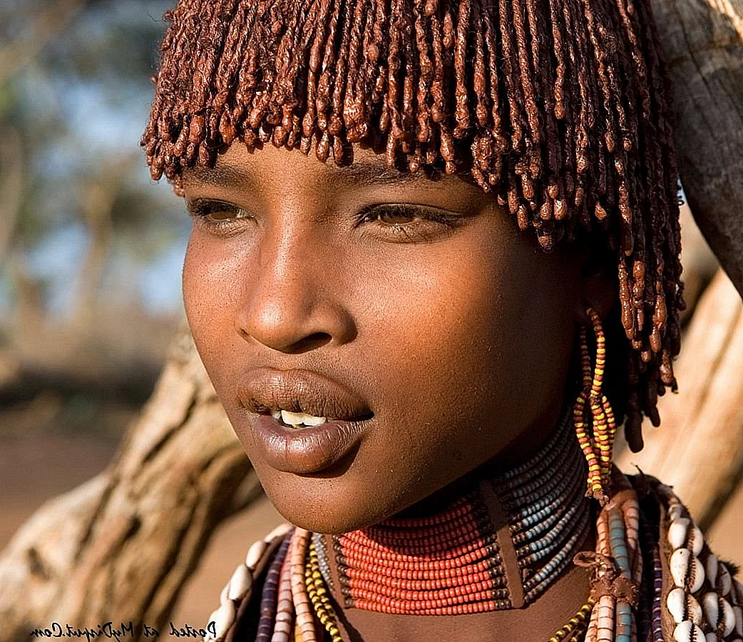 Красивые эфиопки. (11 фото)