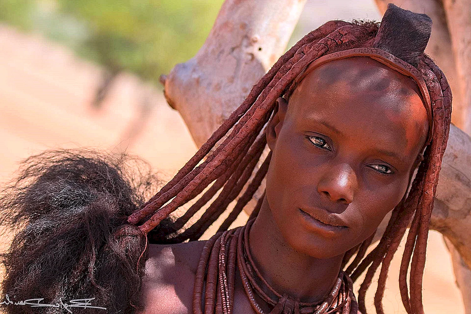 Племя Химба в Африке
