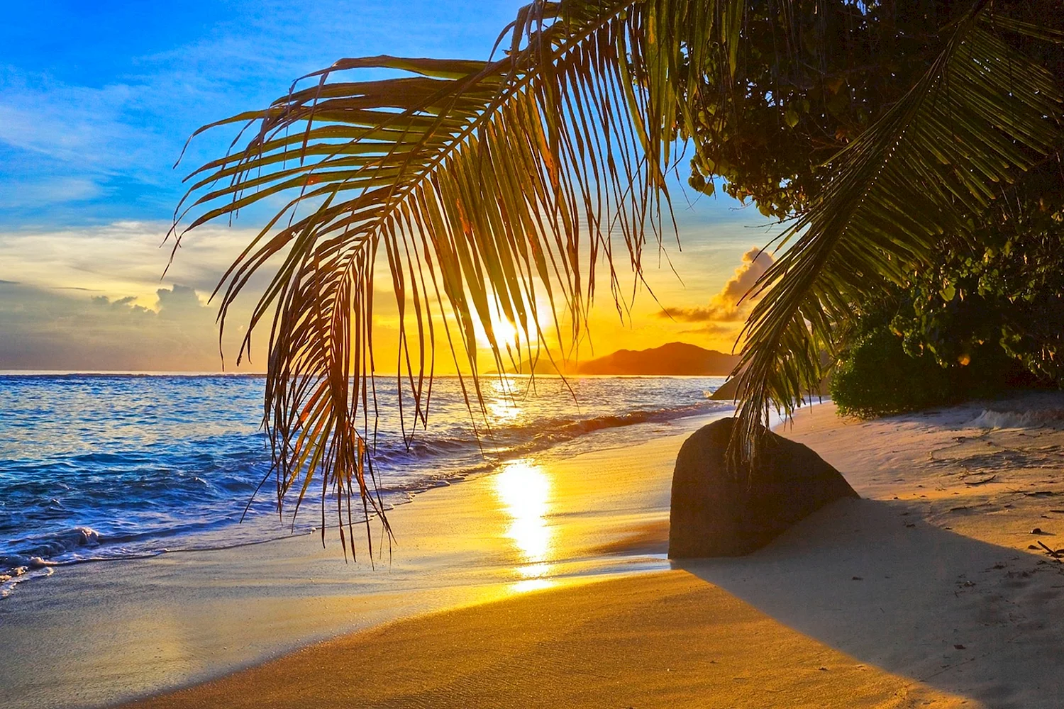 Пляж пальмы